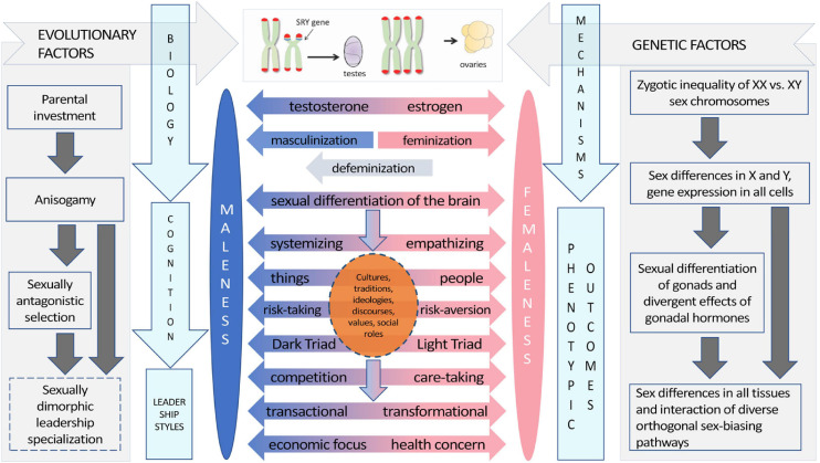 FIGURE 1