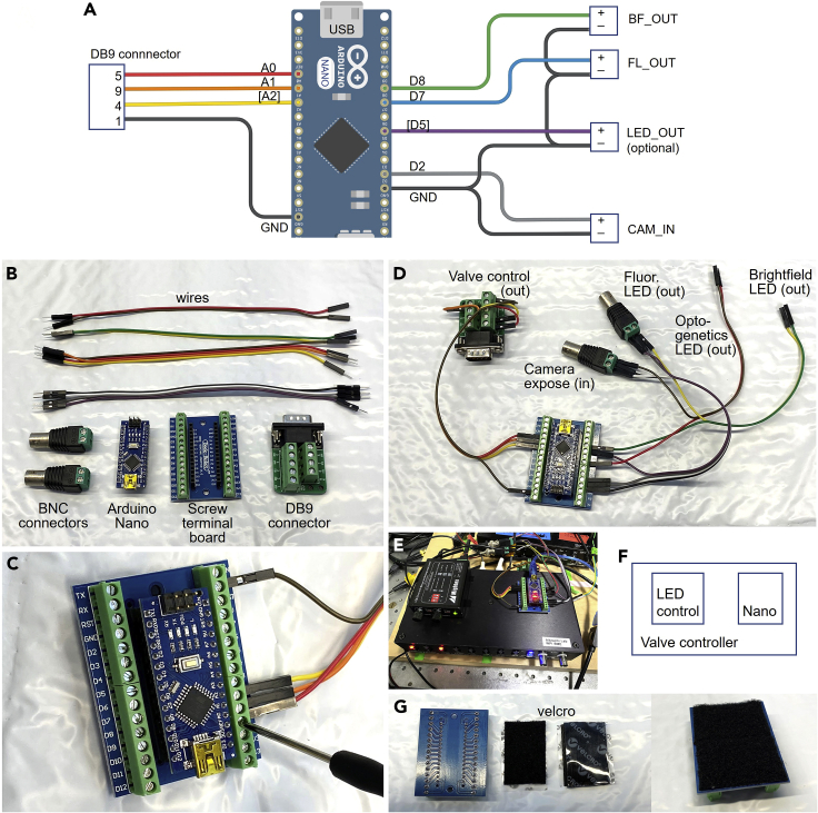 Figure 2