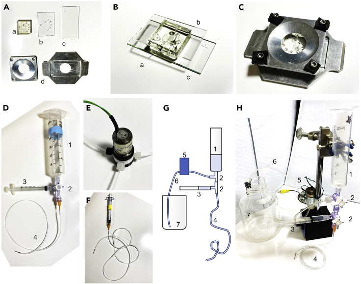 Figure 3