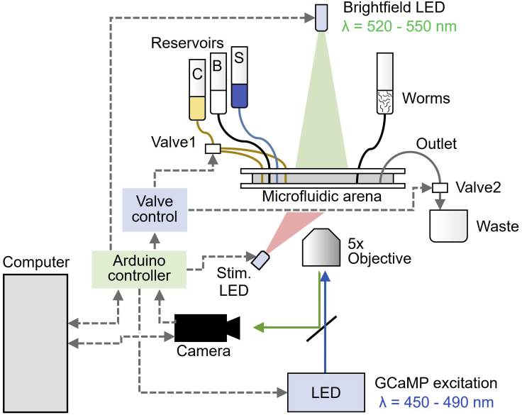 Figure 1