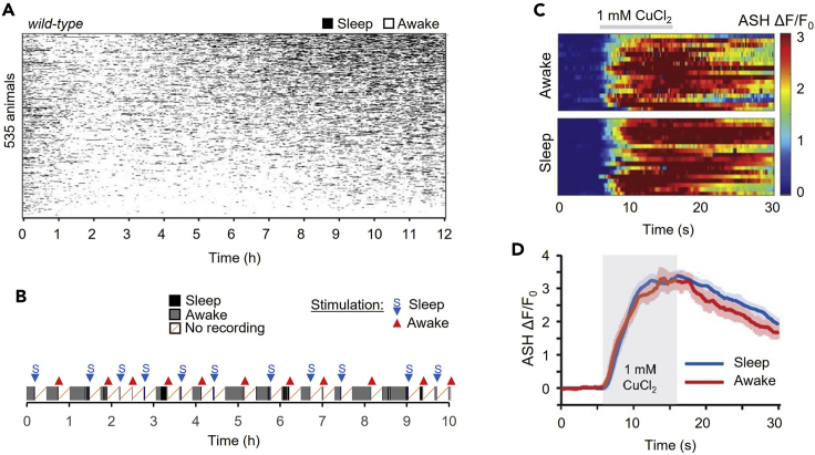 Figure 7