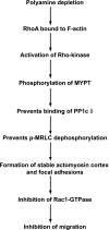 Fig. 9.