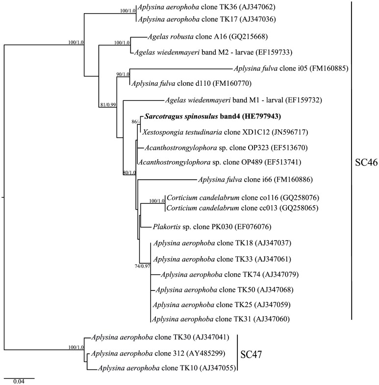 Figure 6