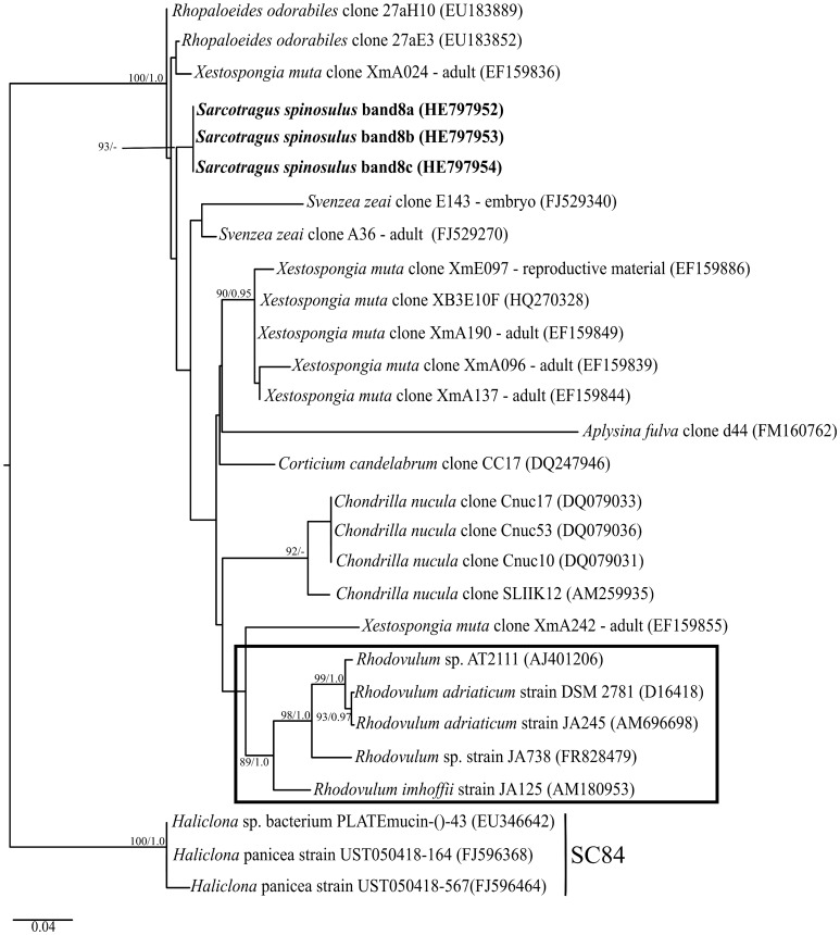 Figure 7