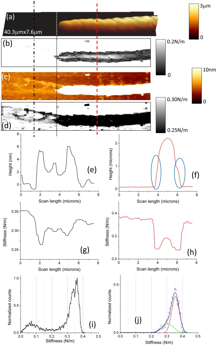 Figure 9