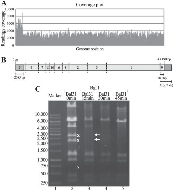 FIG 2