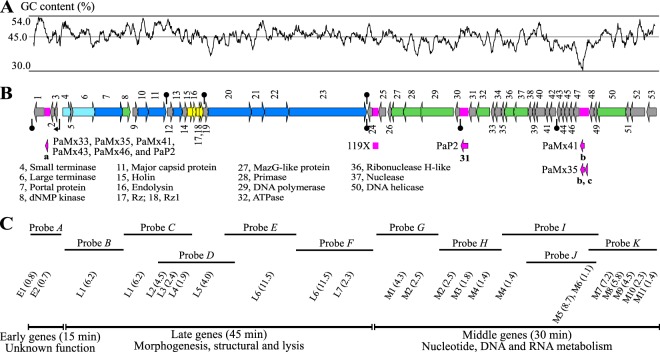 FIG 1