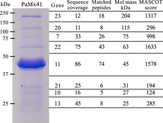 FIG 3