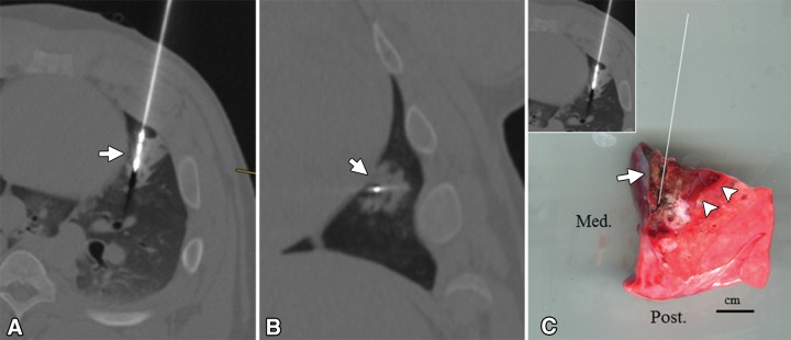 Figure 7: