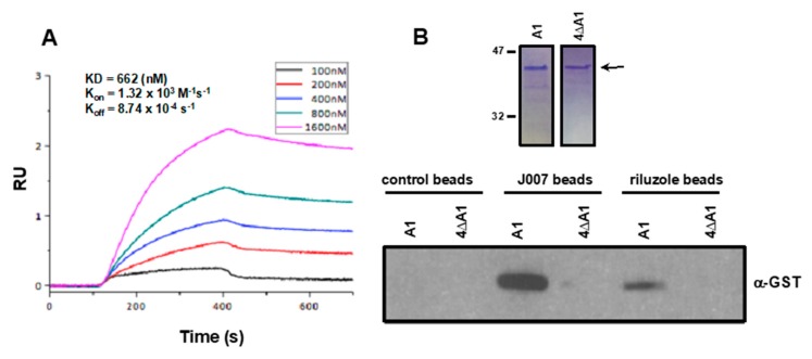 Figure 4