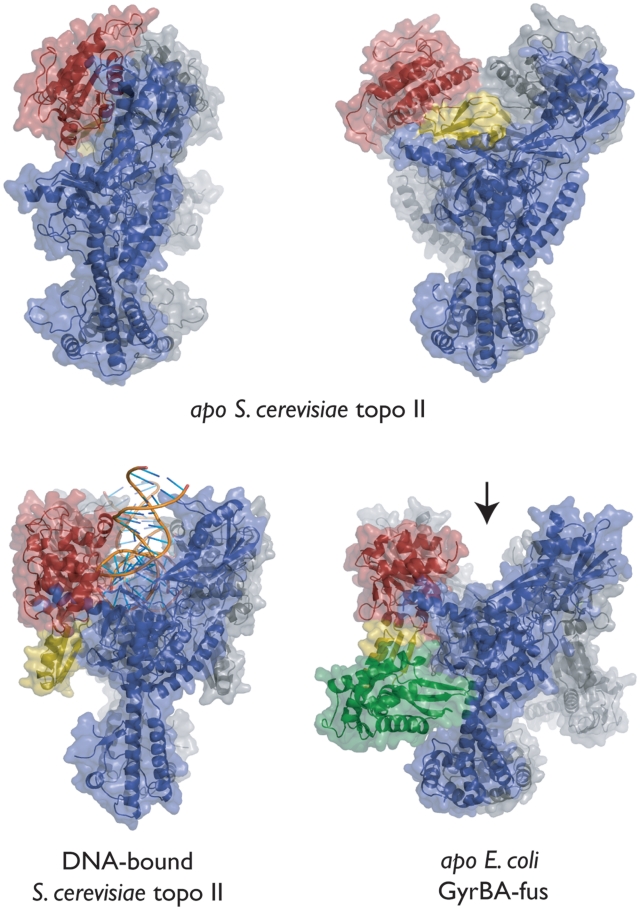 Figure 4.