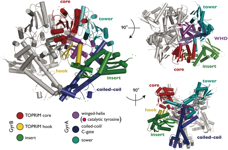 Figure 2.