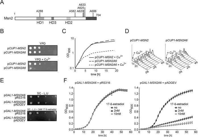 Figure 2: