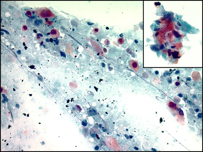 Figure 1.