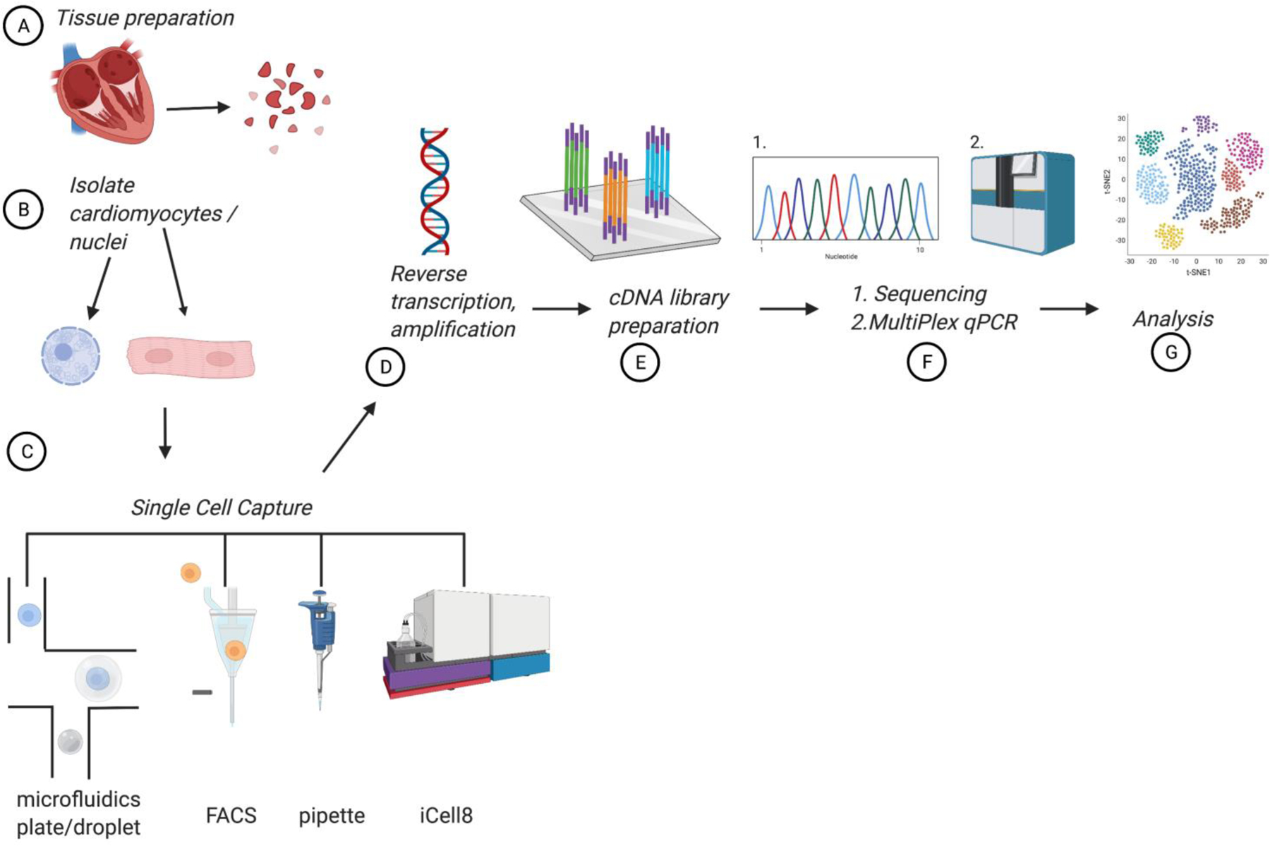 Figure 1: