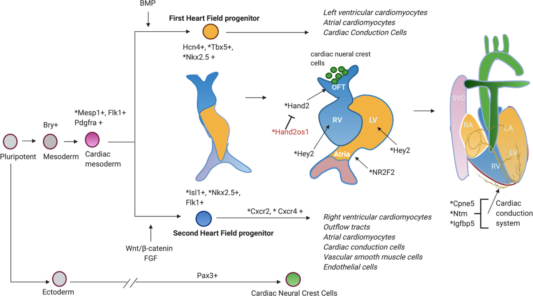 Figure 2: