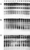 FIG. 1