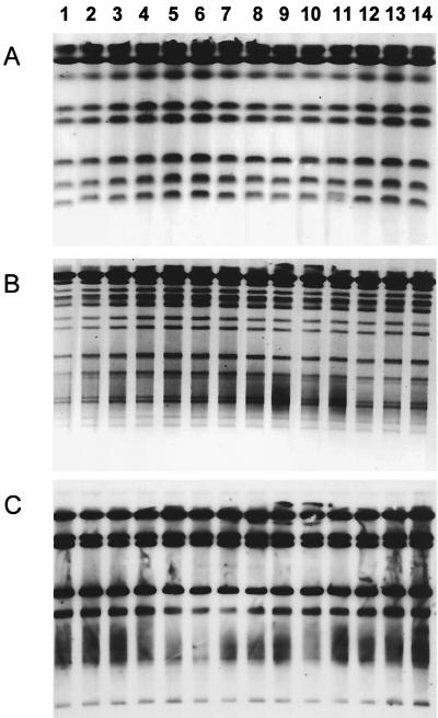 FIG. 1