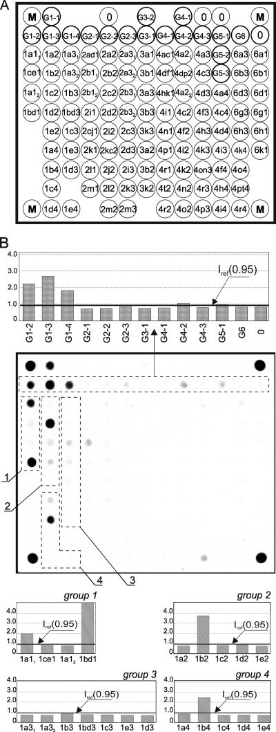 FIG. 2.