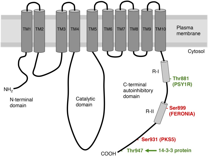 Figure 2.