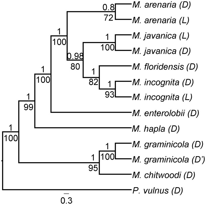 Fig 7