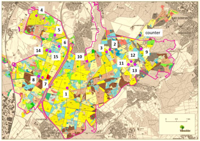 Fig. 2