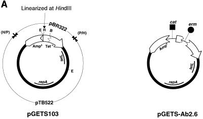 FIG. 1