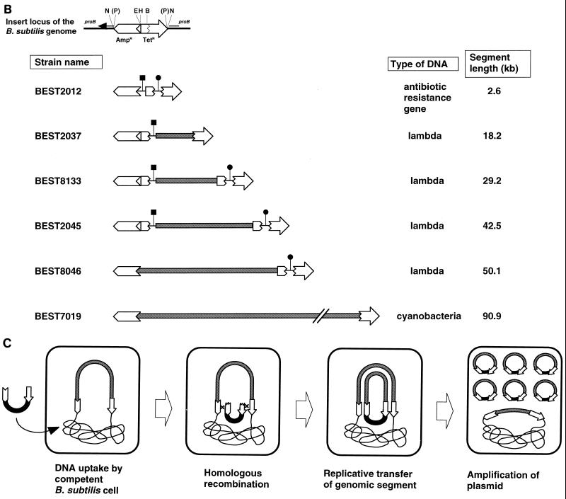 FIG. 1