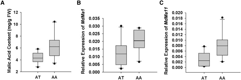 Figure 7.