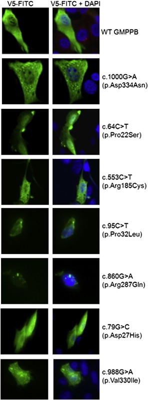 Figure 5