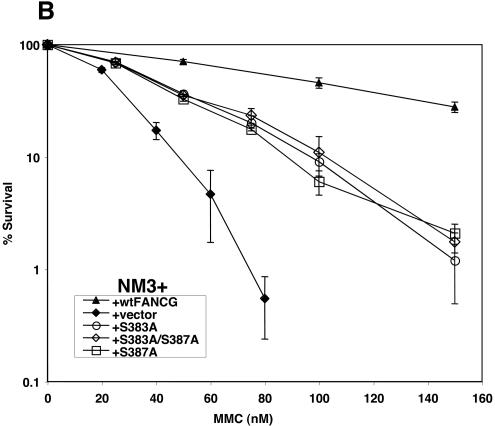 FIG. 5.