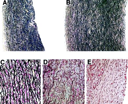 Figure  1