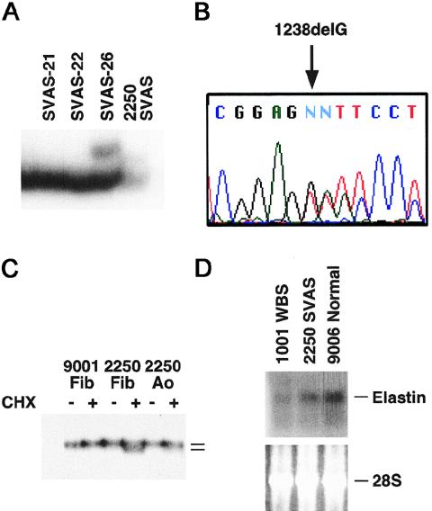 Figure  2