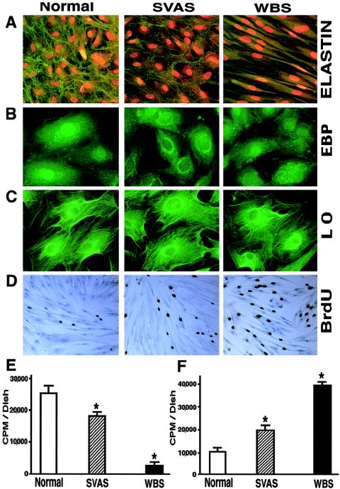 Figure  4