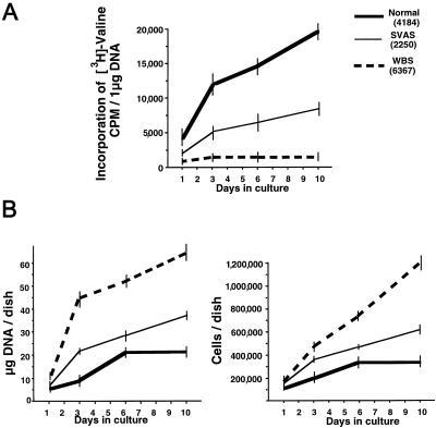 Figure  6