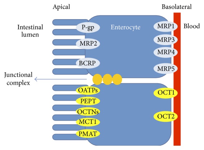 Figure 2