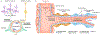 Fig. 4 ∣