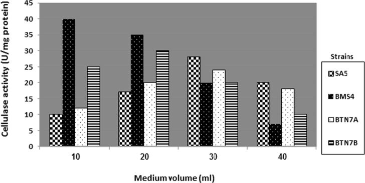 Figure 5