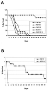 FIG. 7