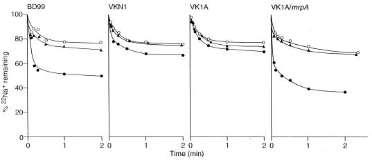 FIG. 6