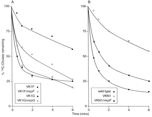 FIG. 4