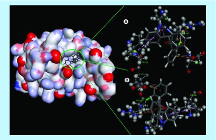 Figure 4. 