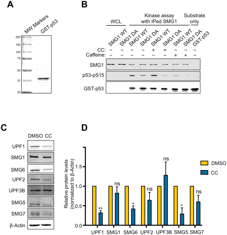 Fig 4