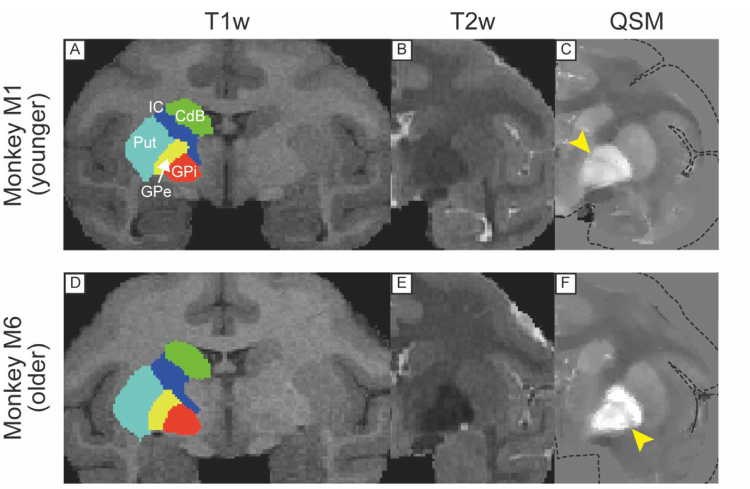 Fig. 3.