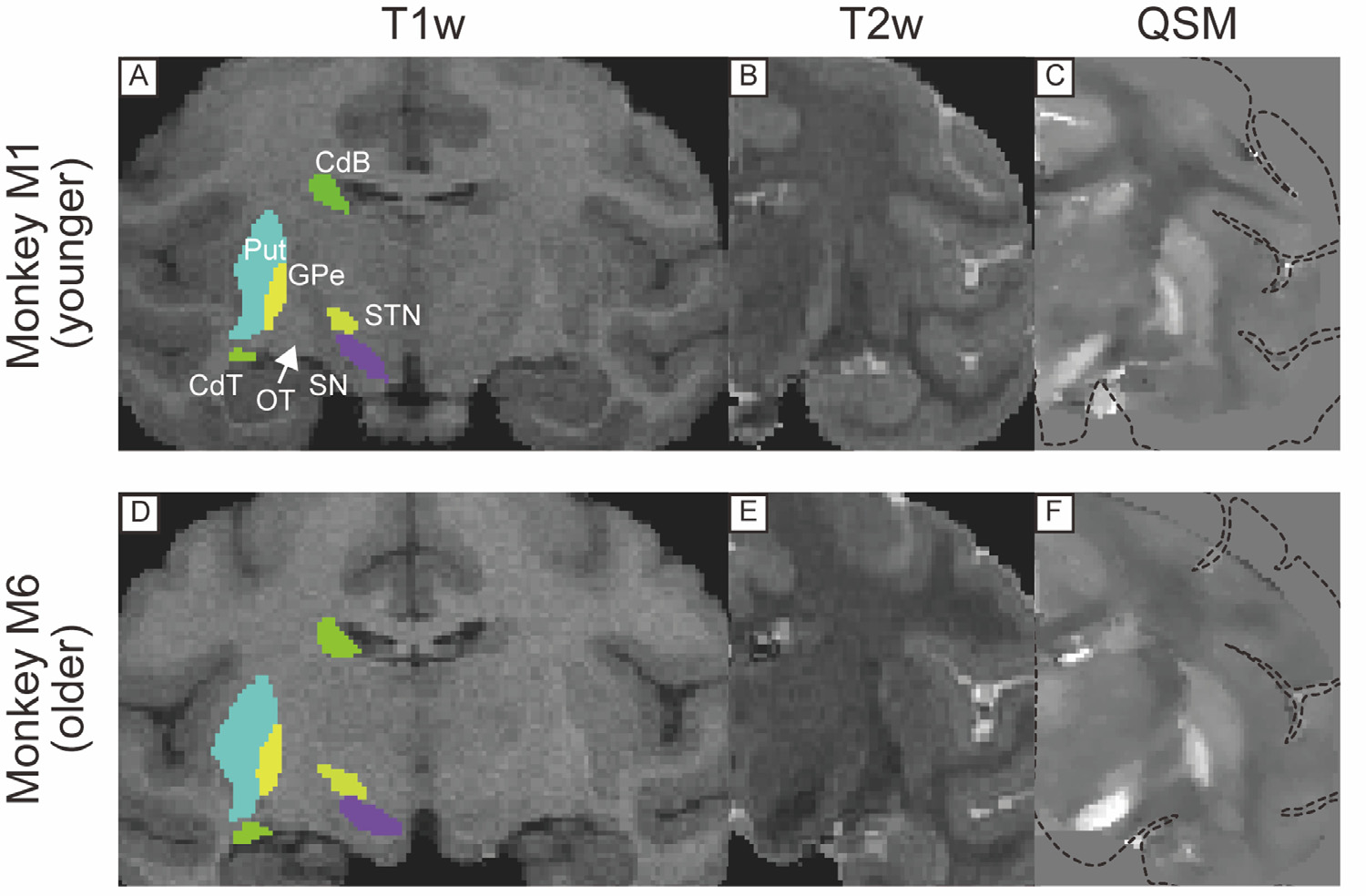 Fig. 4.