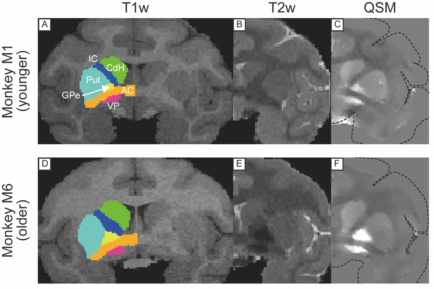 Fig. 2.