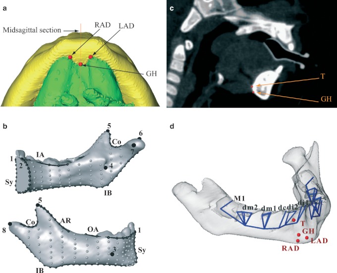 Fig. 3