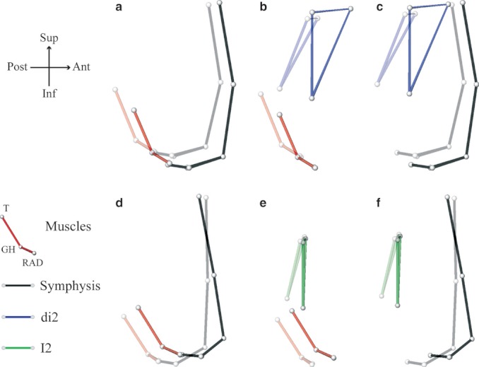 Fig. 8