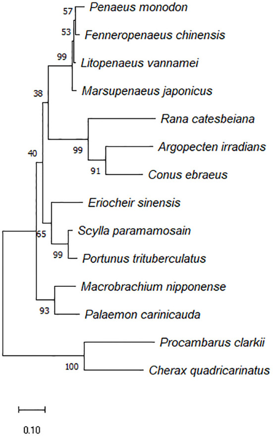 Figure 3