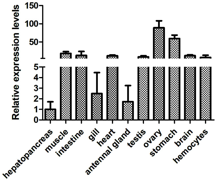 Figure 4